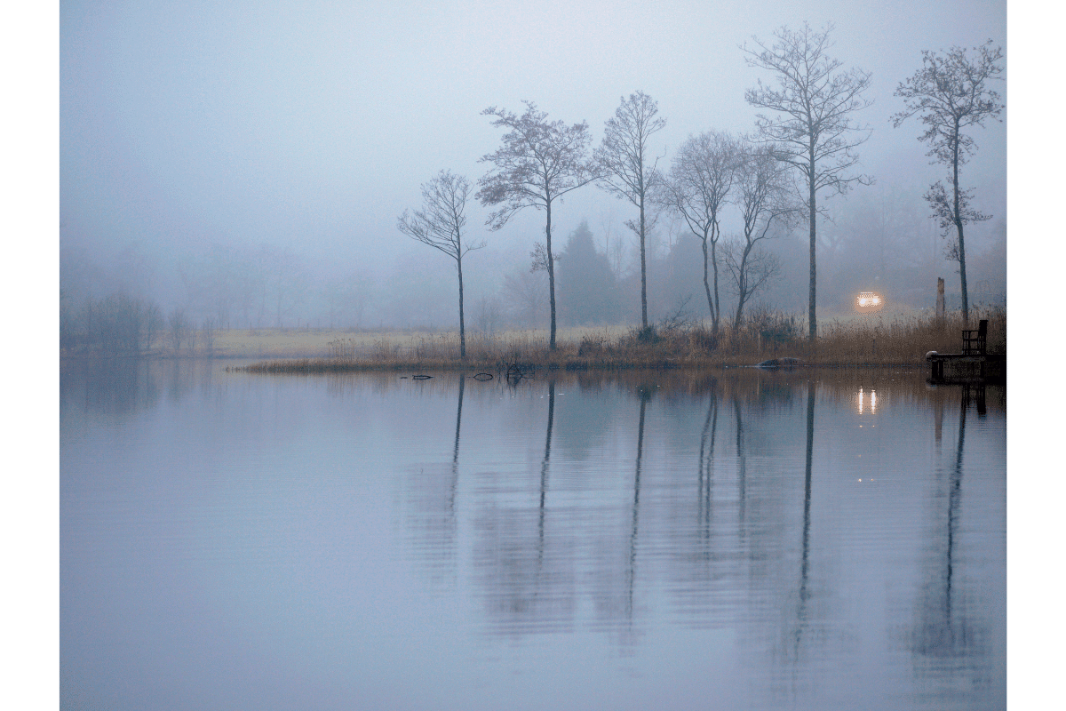 fog light